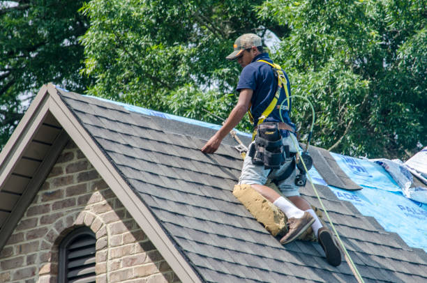 Best Storm Damage Roof Repair  in Rochester, WI